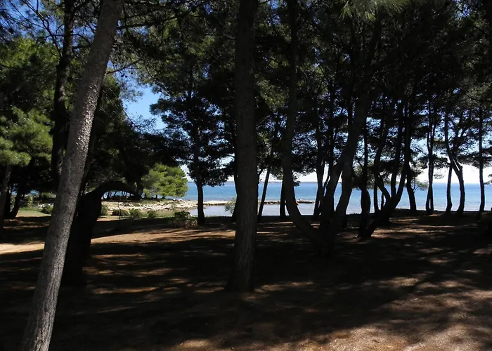 Apartments Vink